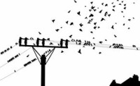 最新黑帽SEO技术，探索与创新策略