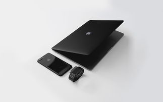 黑帽SEO工具，探索与挑战